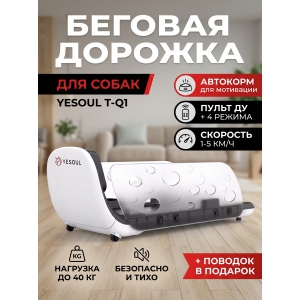 ������� ������� ��� ���� DFC Yesoul T-Q1