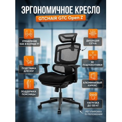 ������������ ������ GTCHAIR GTC Open Z � ���������� ��� ���, ������