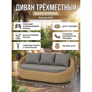 ������ ����� 4SIS "���������" ����������, ������ ����������