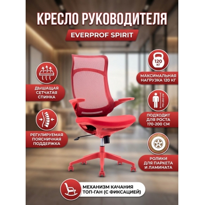 ������ ��� ������������ Everprof Spirit �����, �������