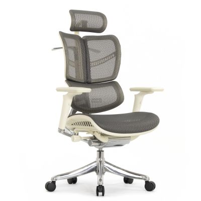   Falto FLY 2 (4D ,  6D(360), , )