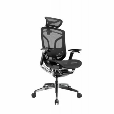   GTCHAIR    GT Chair Dvary Pro X