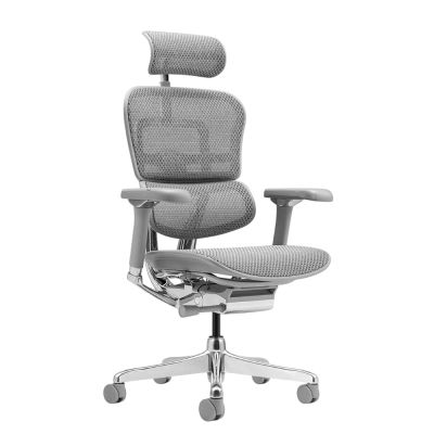 ������������ ������ Falto Ergohuman 2 Luxury ����� , �����