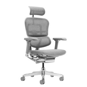 ������������ ������ Falto Ergohuman 2 Luxury ����� , �����