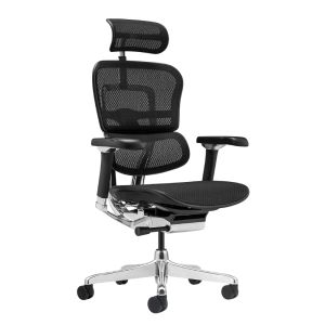 ������������ ������ Falto Ergohuman 2 Luxury ����� , ������