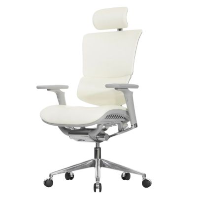 ������������ ������ Falto Leather Premium SL, ���������� ���������� ����, ����������� ����, ������ �����, �����