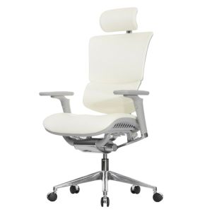 ������������ ������ Falto Leather Premium SL, ���������� ���������� ����, ����������� ����, ������ �����, �����