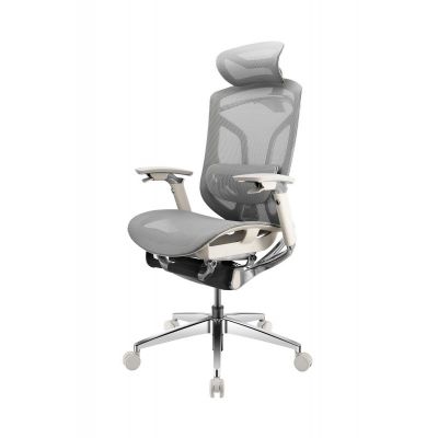 ������������ ������ GTCHAIR Chair Dvary X Pro, �����