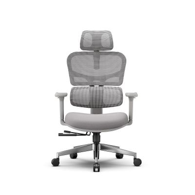 ������������ ������ FoxGear NETZ ������ XO - office edition, �����