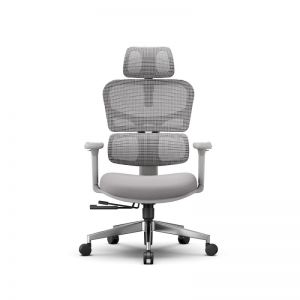 ������������ ������ FoxGear NETZ ������ XO - office edition, �����