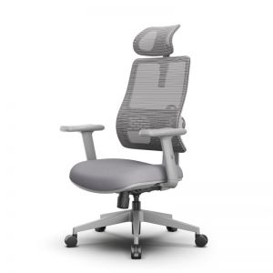 ������������ ������ FoxGear NETZ One, DGGY, �����