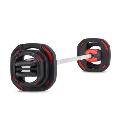 �������� ������ � ������� REBEL ����-������ ��� �������� 19,8 �� REBEL