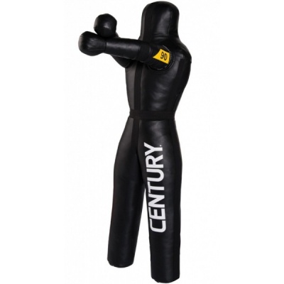    Century 41 